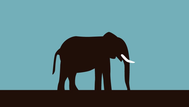 Sushine. Salt Rim. Don Julio.